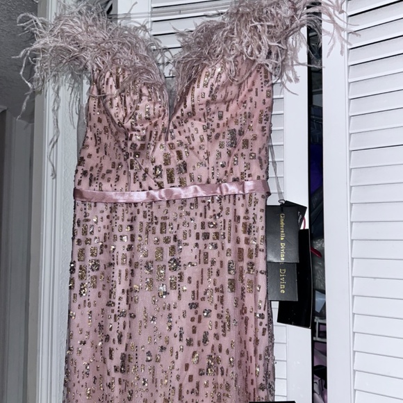 Cinderella Gown Dress - Picture 3 of 5